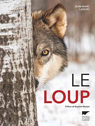Couverture: Le loup Le loup