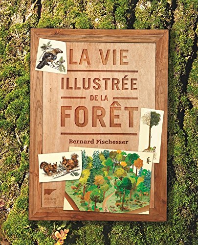 la vie illustrée de la forêt  