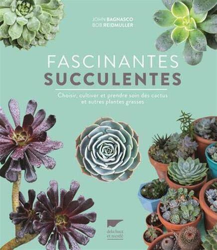 fascinantes succulentes