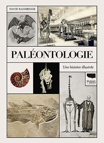 paléontologie