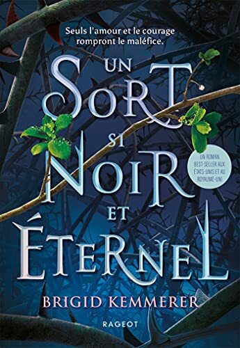 Sort si noir et éternel (Un)