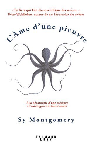 l' âme d'une pieuvre  