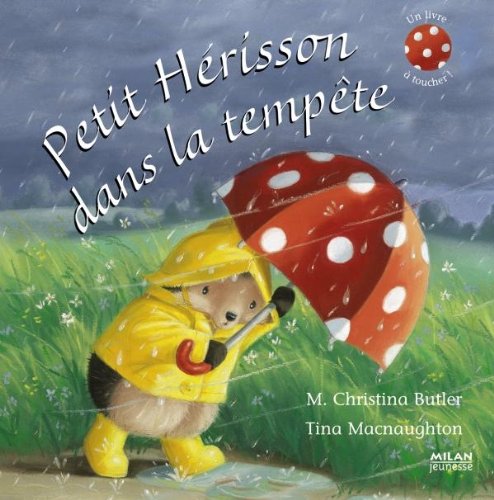petit hérisson dans la tempête