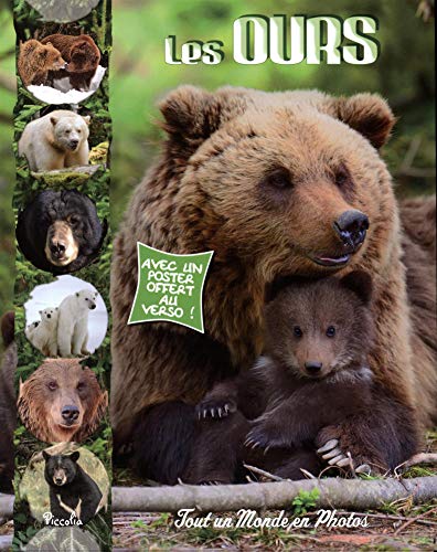 les ours  
