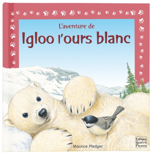 L aventure de igloo l ours blanc