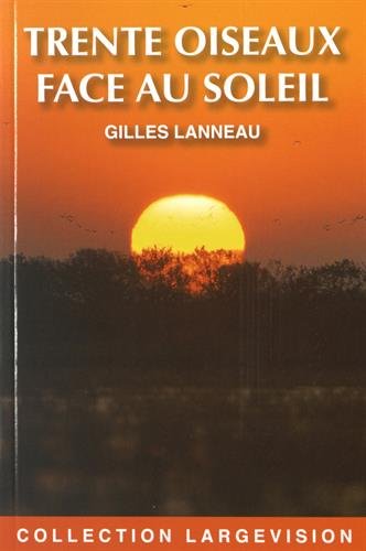 trente oiseaux face au soleil