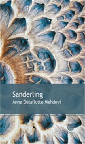 sanderling