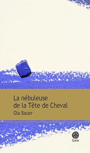 la nébuleuse de la tête de cheval  