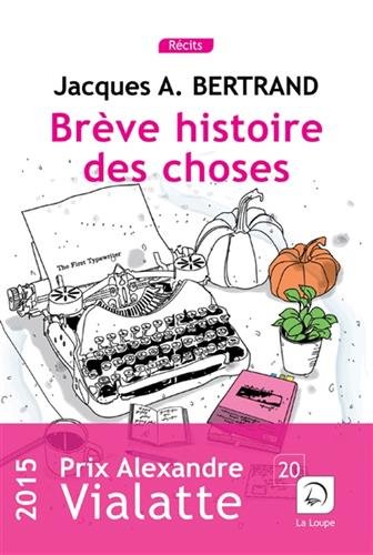 brève histoire des choses