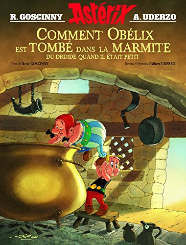 Comment obelix est tombe dans la marmite