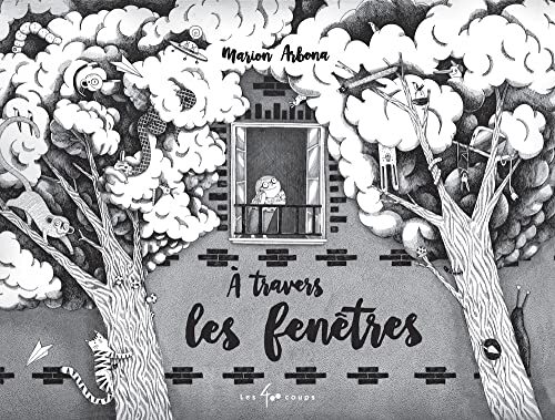 a travers les fenêtres