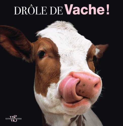 drôles de vaches !