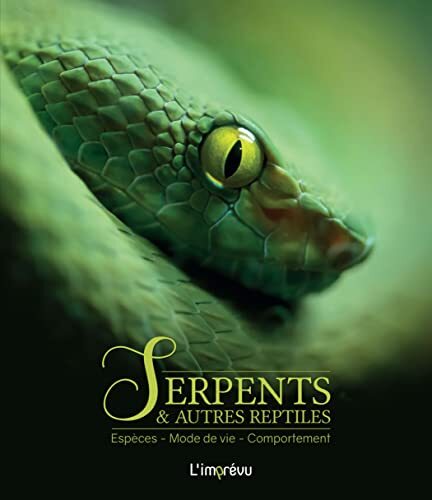 serpents & autres reptiles