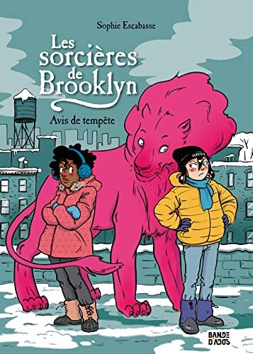 les sorcières de brooklyn, t02. avis de tempête   [2]