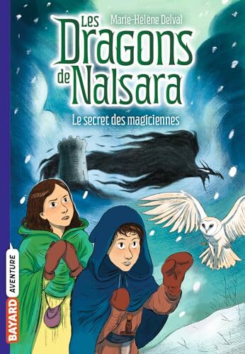 les dragons de nalsara, t7   [7]