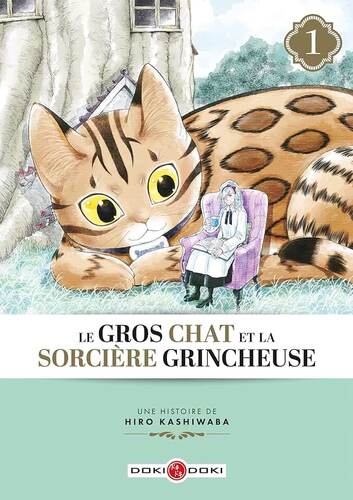 Gros chat et la sorcière grincheuse (Le) - T.1